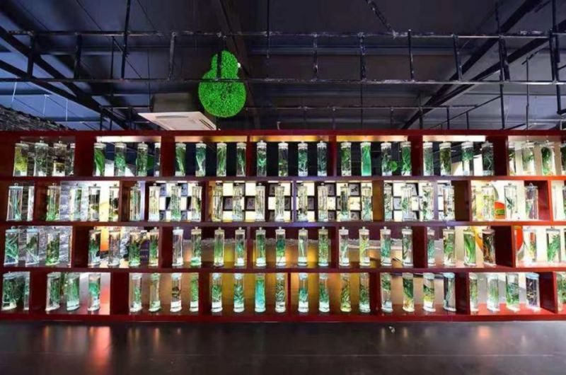 標本展覽館