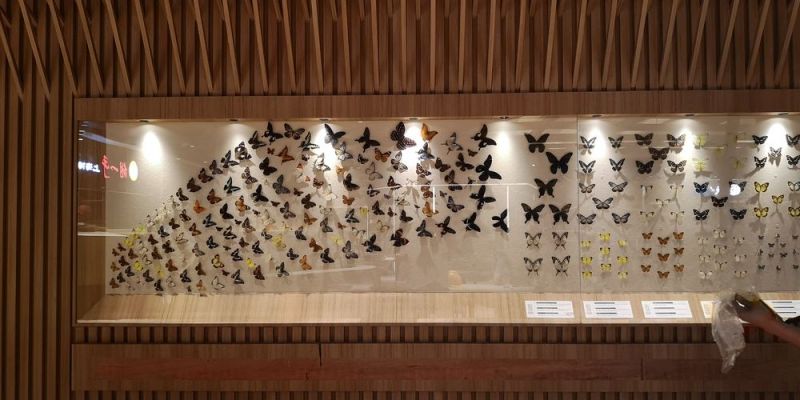 標本展覽館