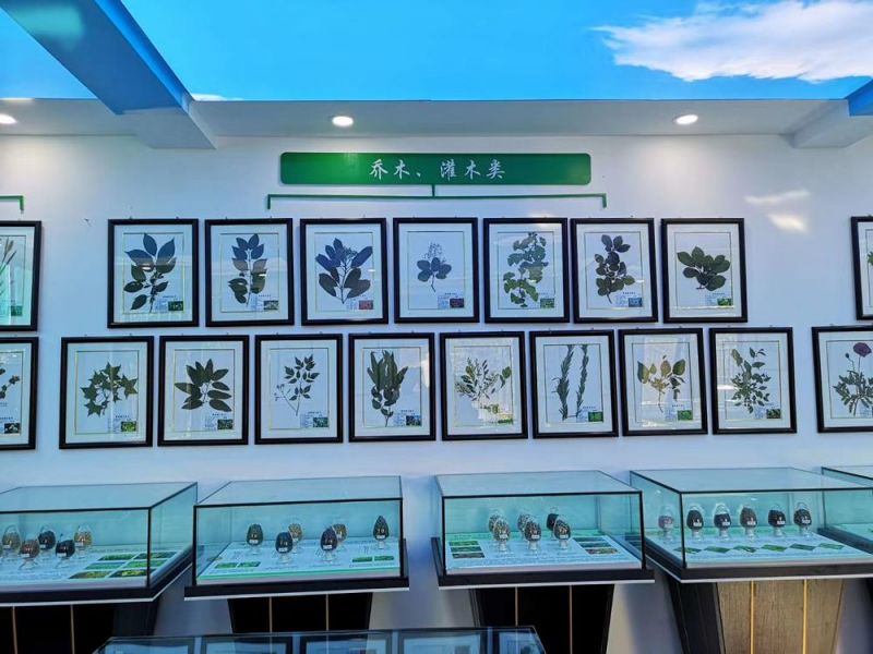 標本展覽館