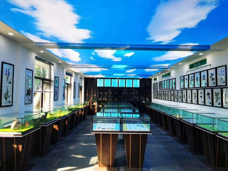 標本展覽館